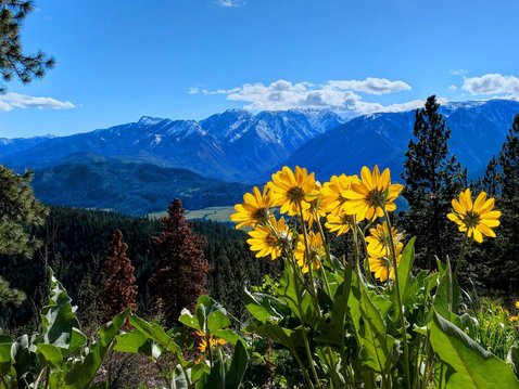 Wie komme ich beschwerdefrei durch die Corona-Impfung?