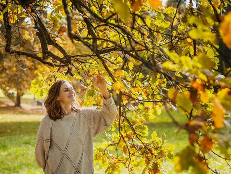 Der Herbst – Zeit für das Wesentliche