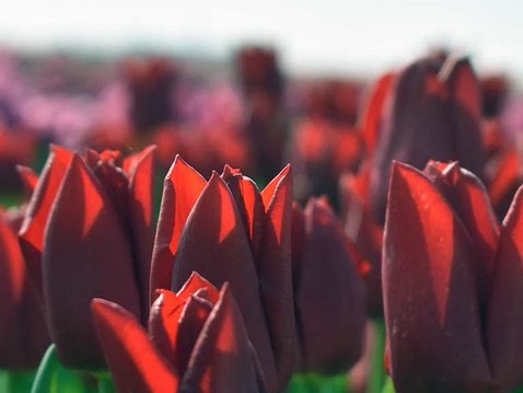 Fit durch den Frühling