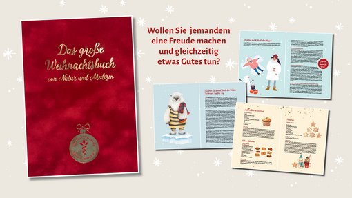Das große Weihnachtsbuch von Natur und Medizin e.V.