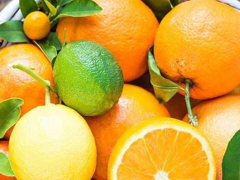 Zitrone und Co. – Zitrusfrüchte im Dienste der Wissenschaft