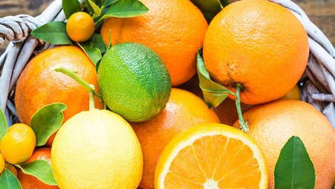 Zitrone und Co. – Zitrusfrüchte im Dienste der Wissenschaft