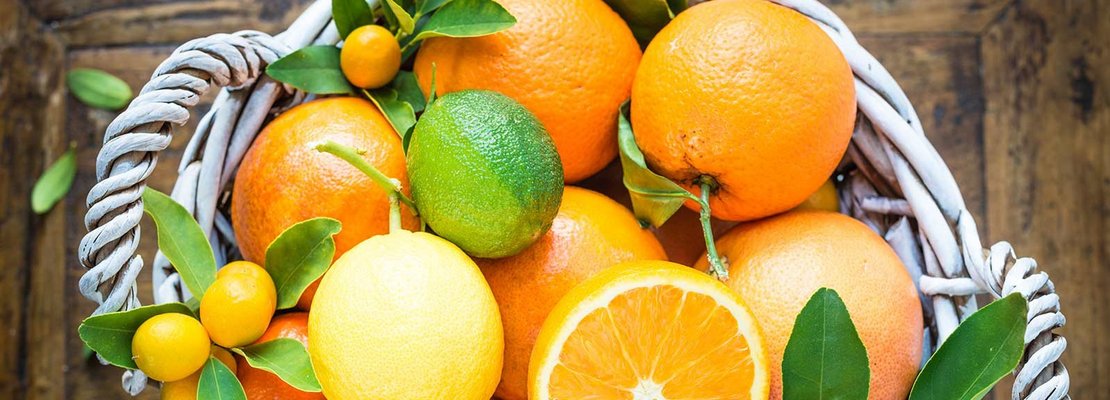Zitrone und Co. – Zitrusfrüchte im Dienste der Wissenschaft