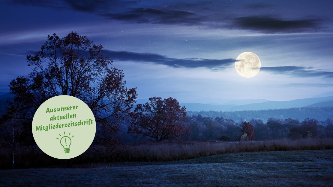 Leben im Einklang mit den Mondphasen