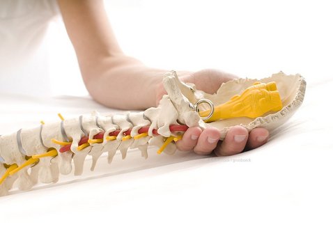 Naturheilkundliche Behandlung bei Beschwerden rund um die Halswirbelsäule, Tinnitus und Kopfschmerzen.