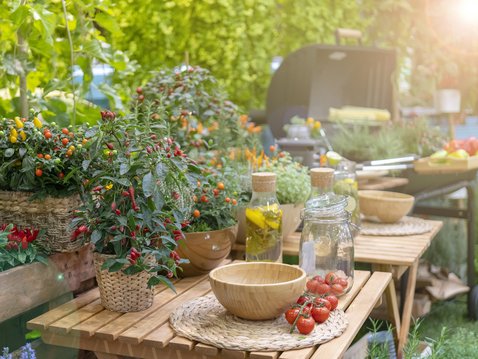 Gesund und lecker für den Grillabend: Paprika-Walnuss-Paste