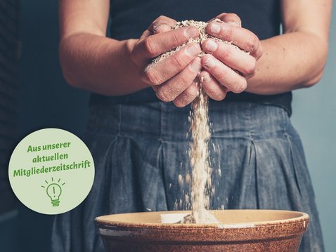 Hafer – das unterschätzte Superfood Hafer – das unterschätzte Superfood