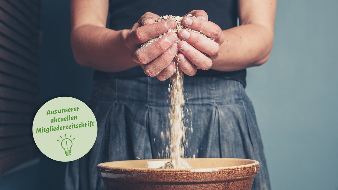 Hafer – das unterschätzte Superfood