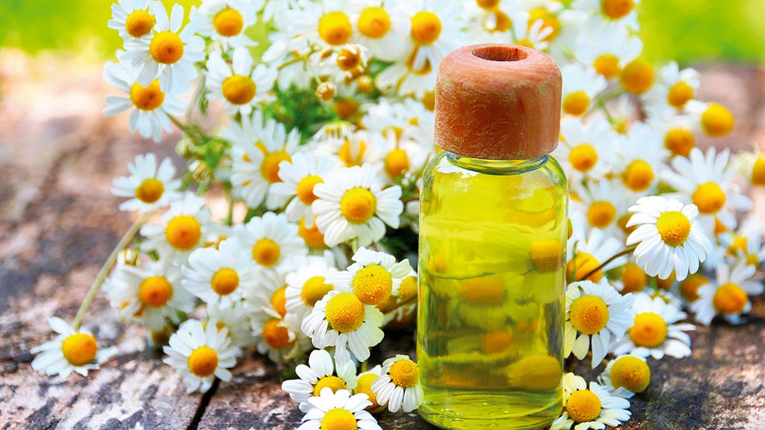 Aromaöle für den Sommer Aromaöle für den Sommer