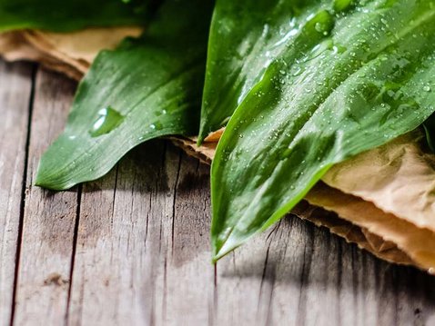 Entschlacken mit Kräutern