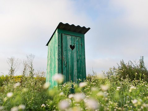 Pflanzliche Hilfe bei Blasenentzündung