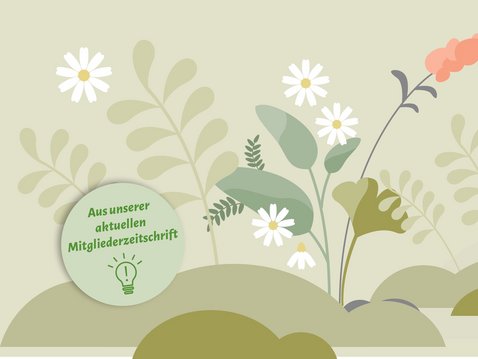 Frühlingserwachen: Kräuter zum Entgiften und Entschlacken