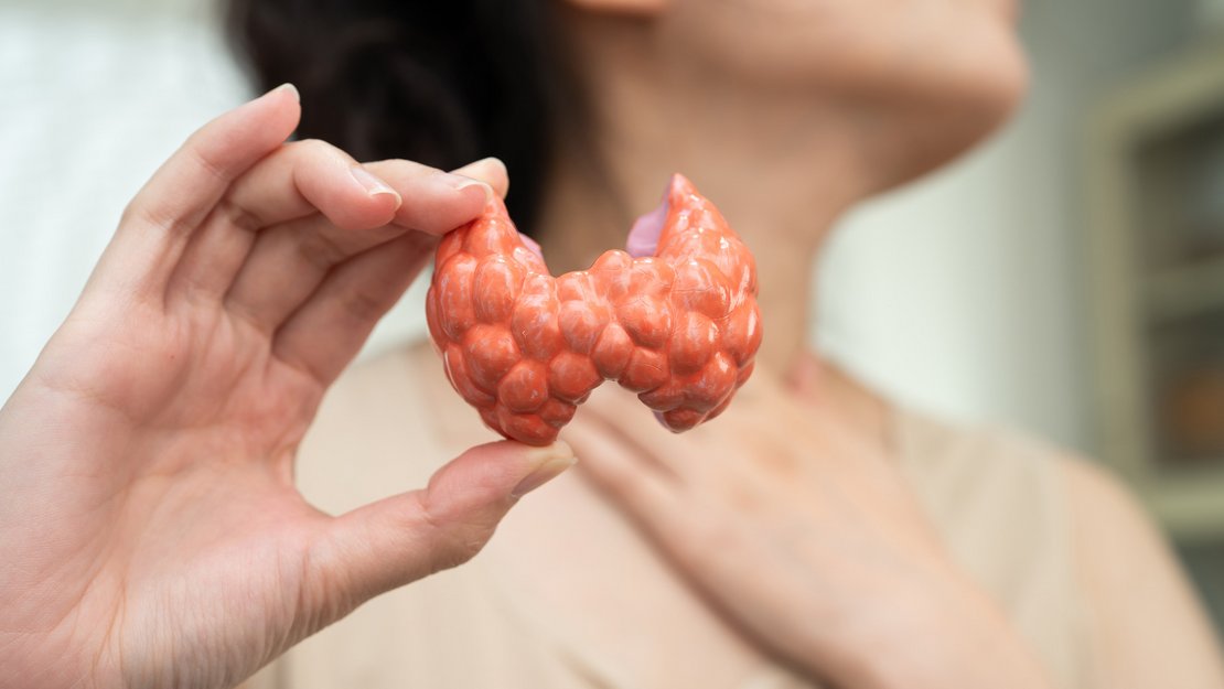 Natürliche Hilfe bei Schilddrüsenerkrankungen