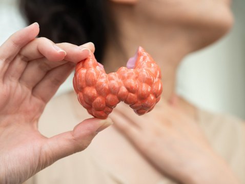 Natürliche Hilfe bei Schilddrüsenerkrankungen