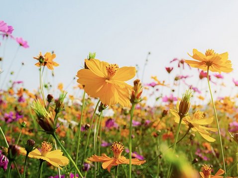 Selbsthilfe bei Lebenskrisen