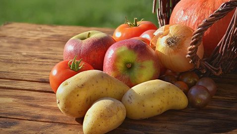 Erntezeit – das können Äpfel und Kartoffeln