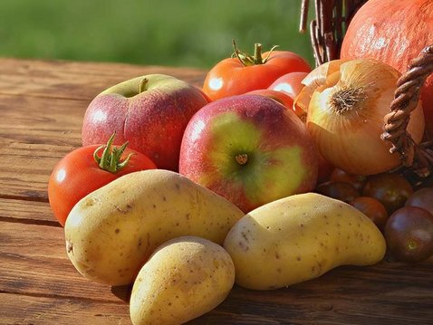 Erntezeit – das können Äpfel und Kartoffeln