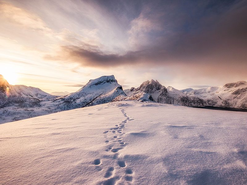 Fit und gesund – ein Leben lang