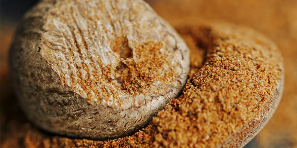 Zum aktuellen KoKo: Muskatnuss Kompass Komplementärmedizin: Muskatnuss