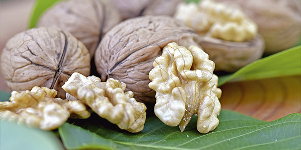 Zum aktuellen KoKo: Die Walnuss Kompass Komplementärmedizin: Die Walnuss