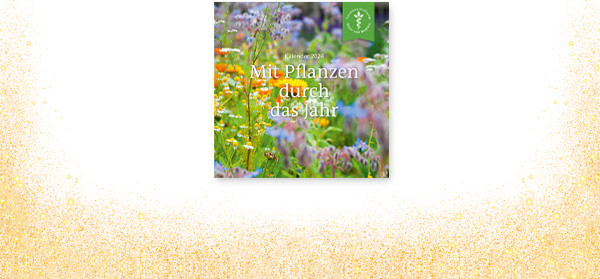 Kalender 2024: Mit Pflanzen durch das Jahr